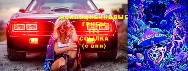 ГАЛЛЮЦИНОГЕННЫЕ ГРИБЫ Баксан